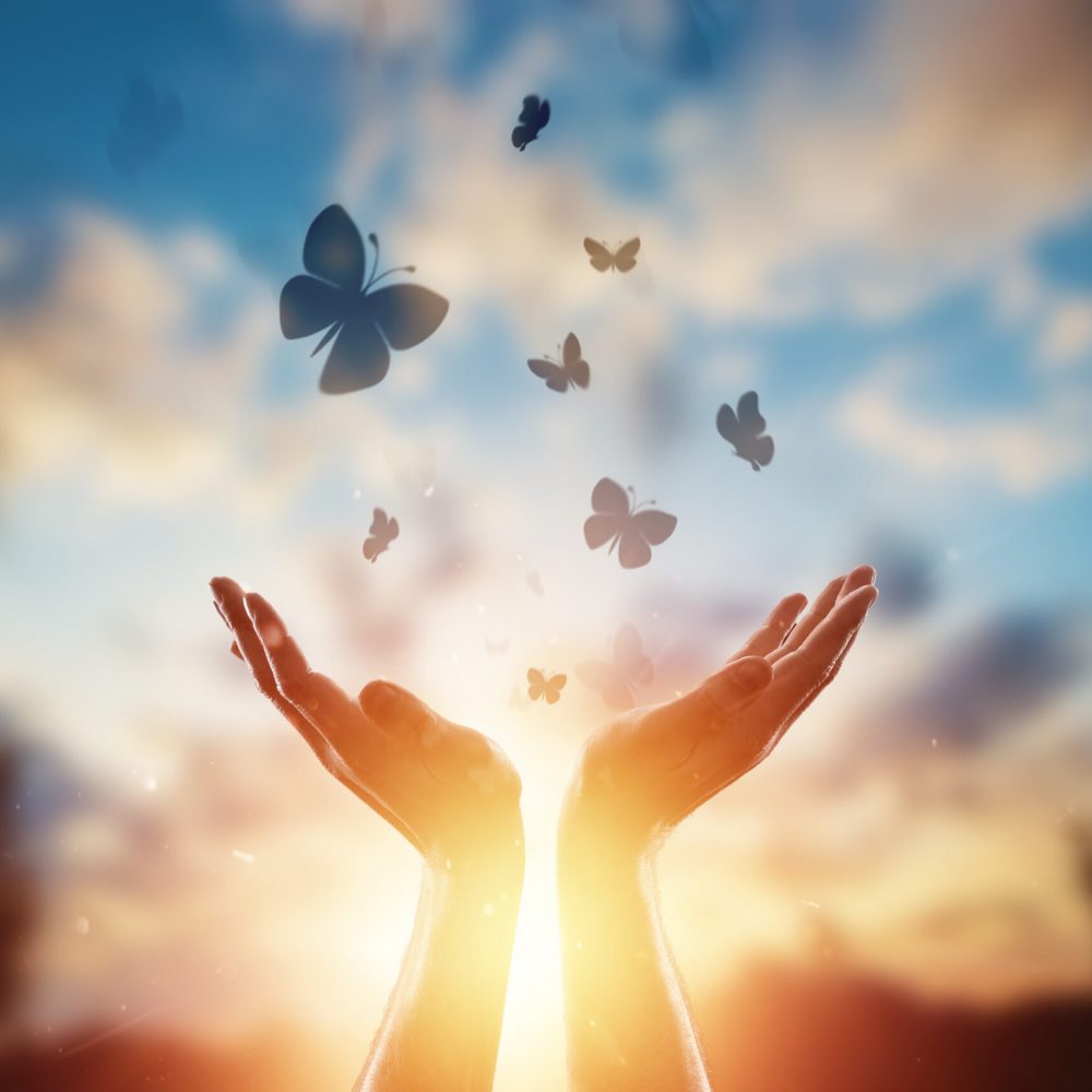 Hands close up on the background of a beautiful sunset, a flock of butterflies flies, enjoying nature. The concept of hope, faith, religion, a symbol of hope and freedom.