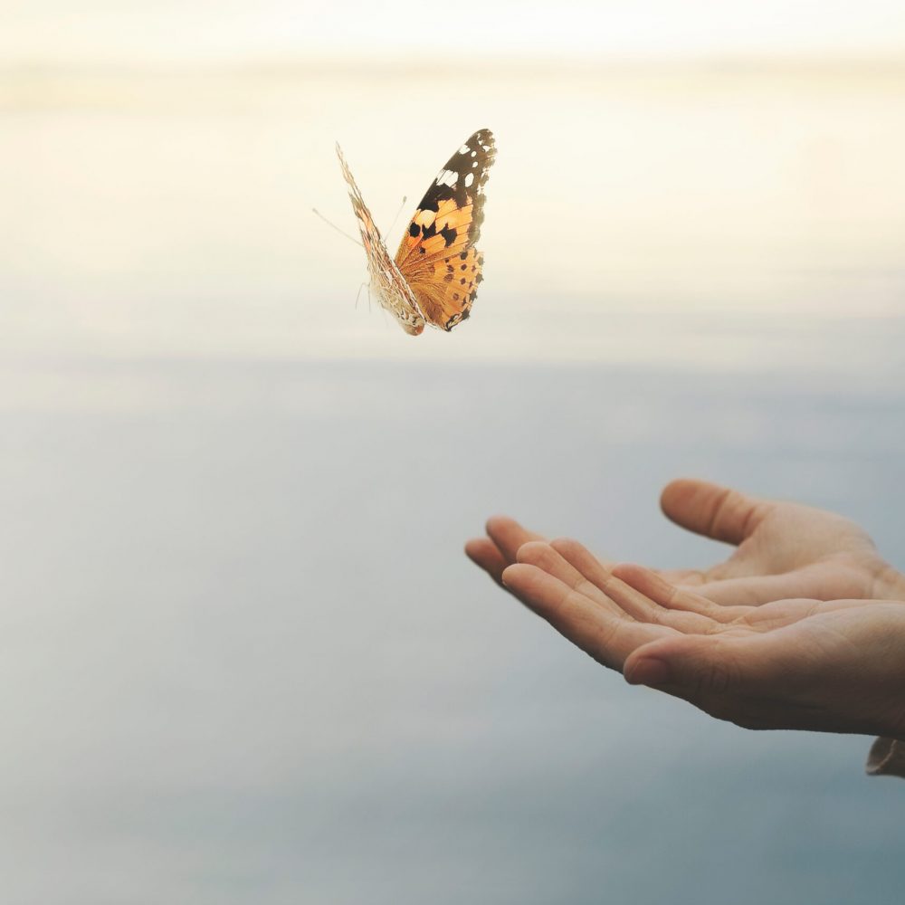 butterfly flies free from a woman's hand